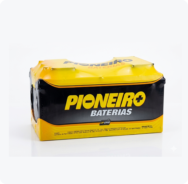 Pioneiro 220 F 1