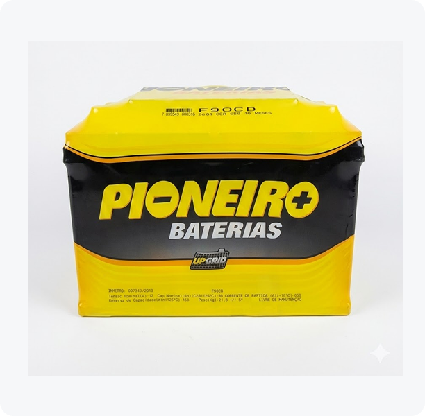 Pioneiro 90 Cargo (F) 1